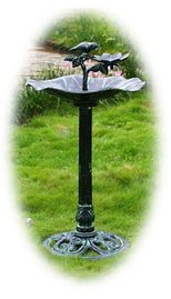 lotusbirdbath.jpg 10kbs