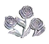 italianrose2.jpg 6kbs